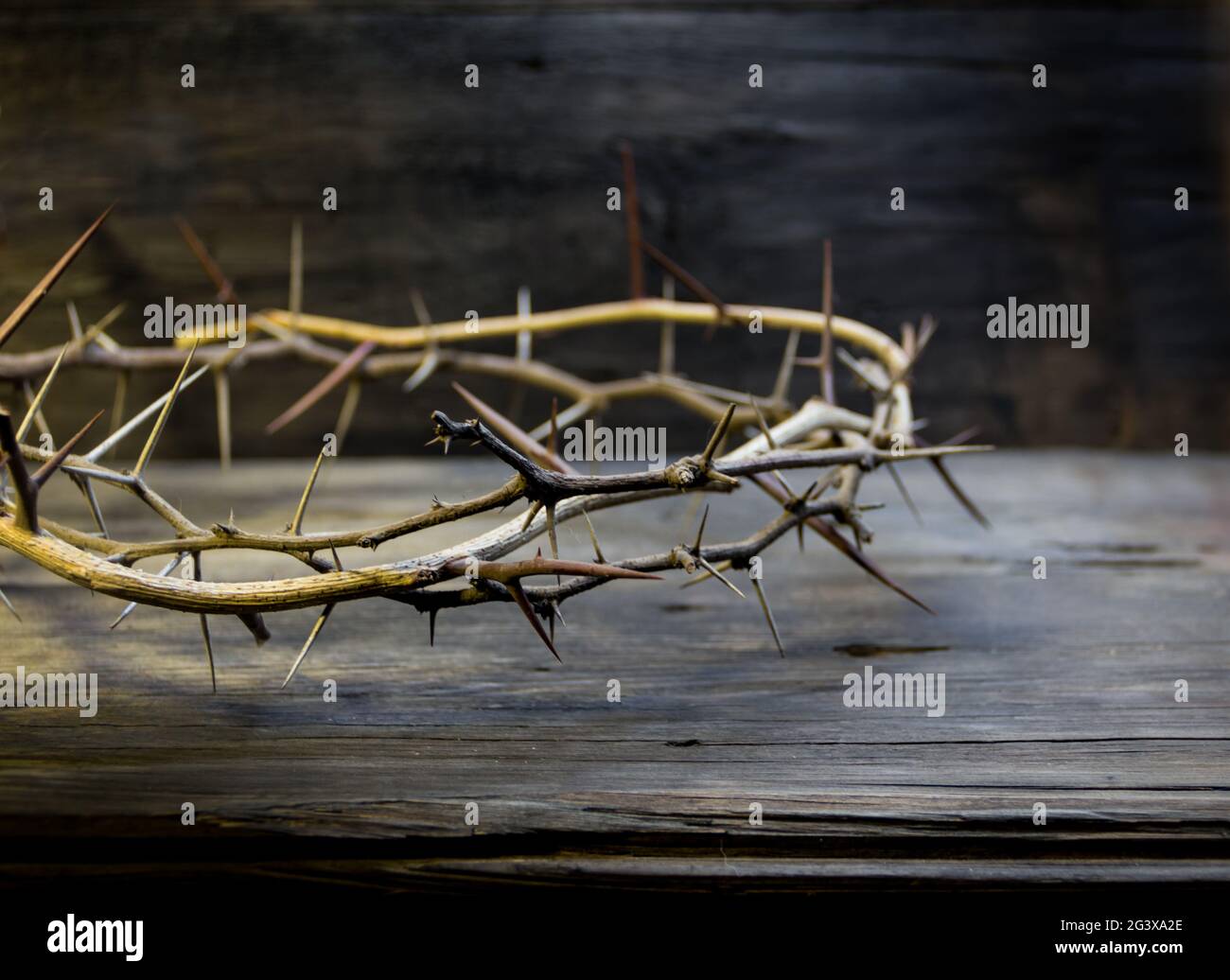 Crown of thorns symbol of the christian religion Stock Photo