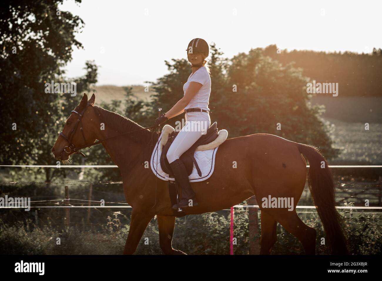 Horse riding training in fresh air on summer evening.Beautiful young woman in white sports uniform. Sports and beauty. Healthy lifestyle. Active leisu Stock Photo