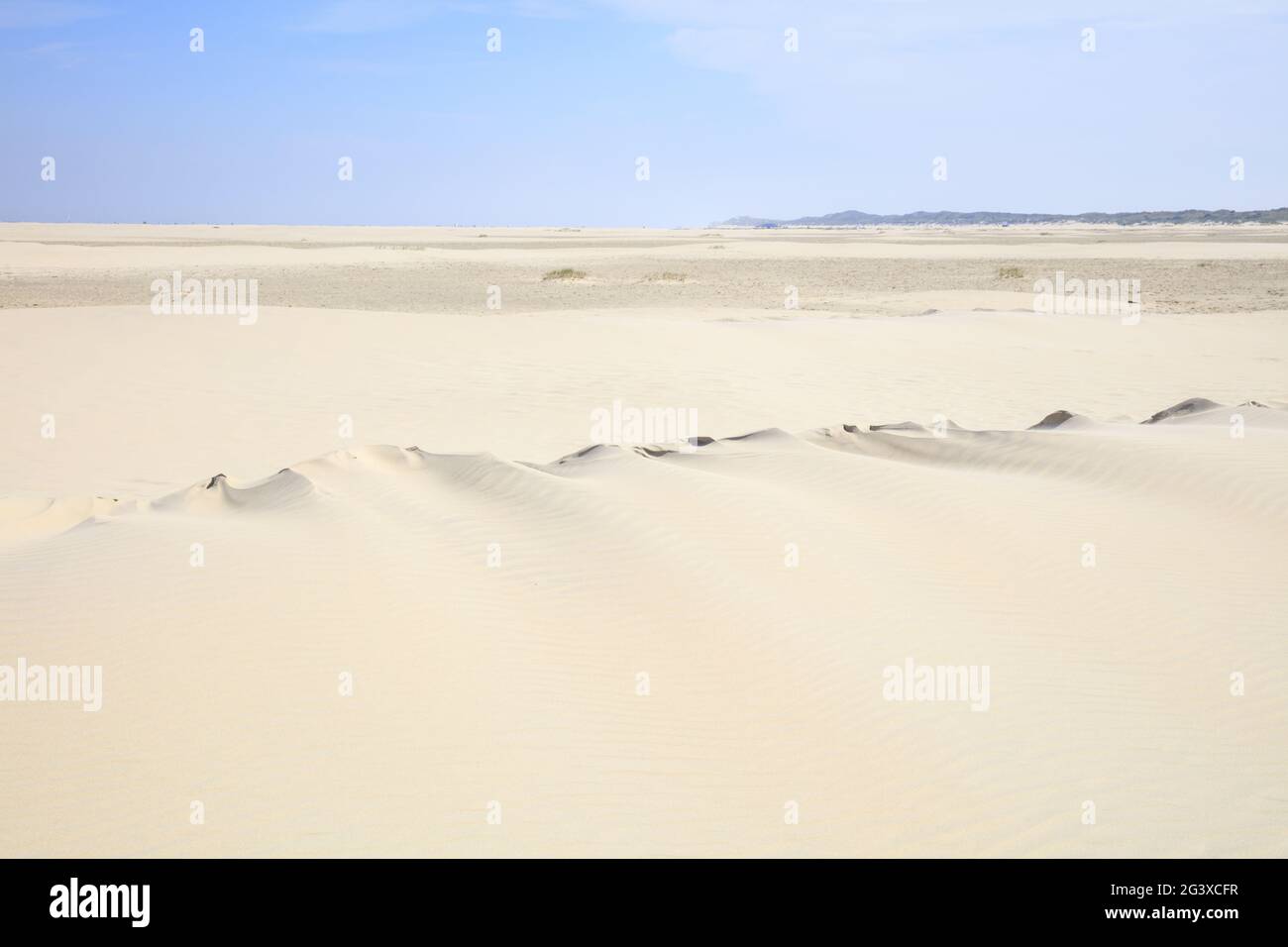 Sanddunes at the National park, Borkum Island Stock Photo