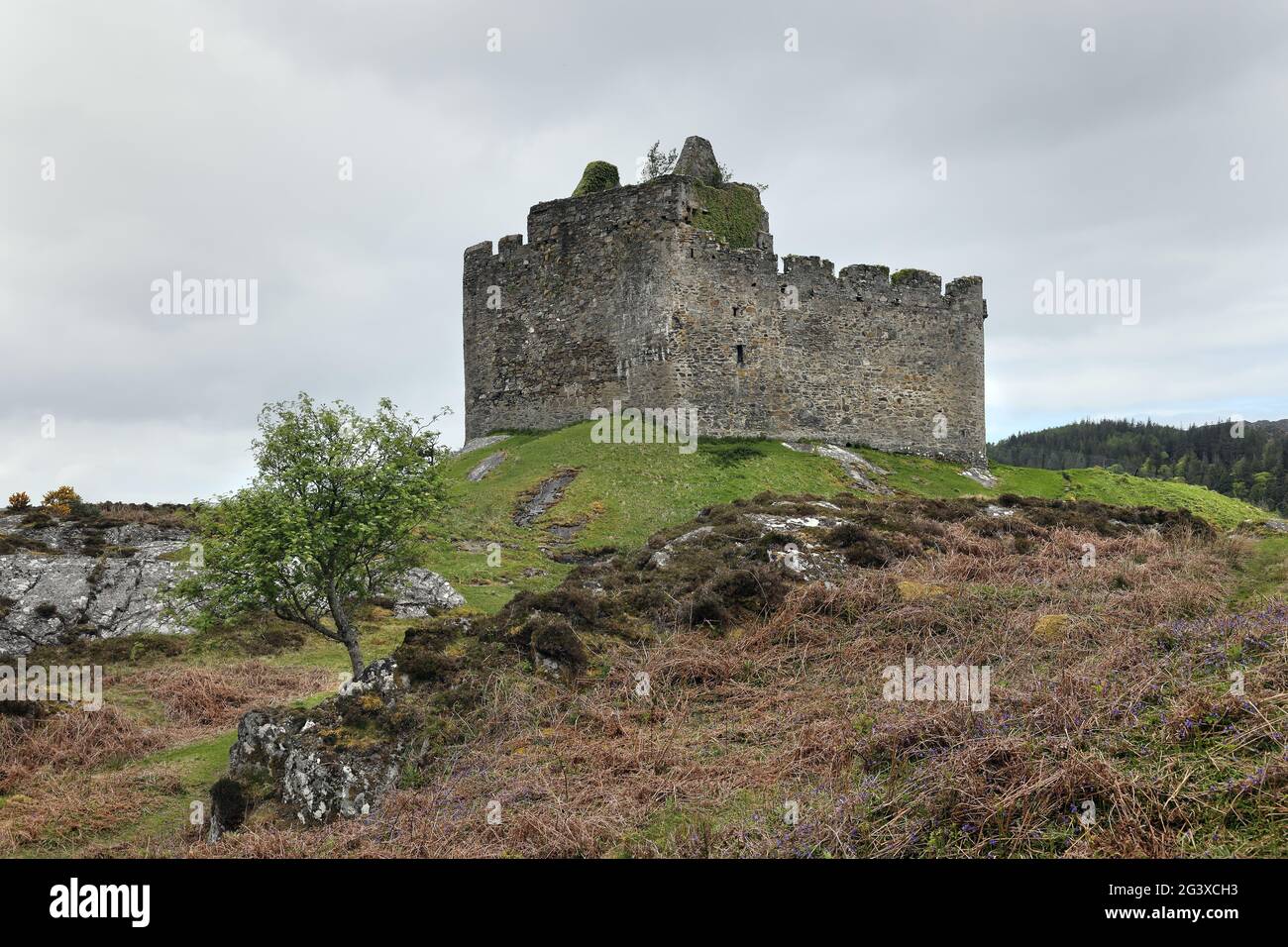The Ruined Castle Tioram, Ardnamurchan, Peninsular, Scotland, UK Stock Photo