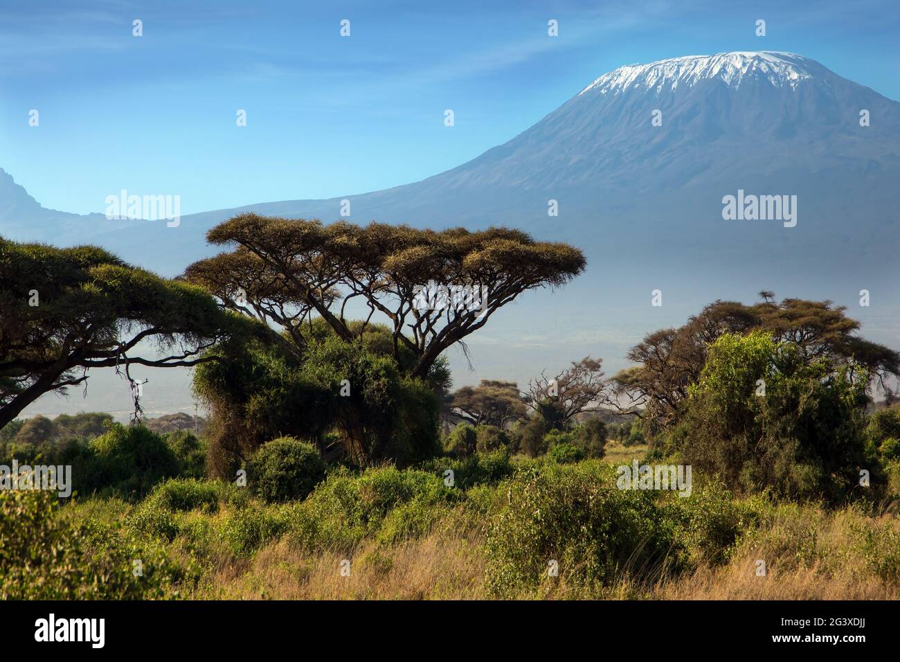 The snow peak of Kilimanjaro Stock Photo