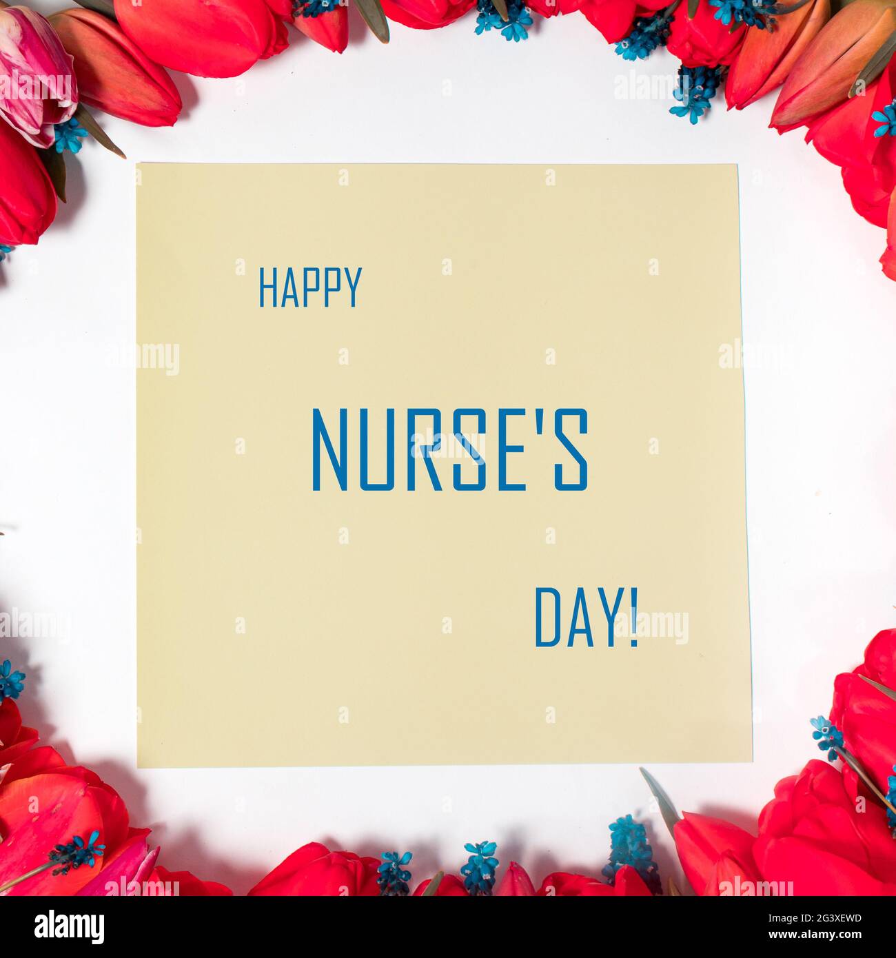 Greeting card with flowers with inscription Happy Nurse's Day. Square postcard. Stock Photo