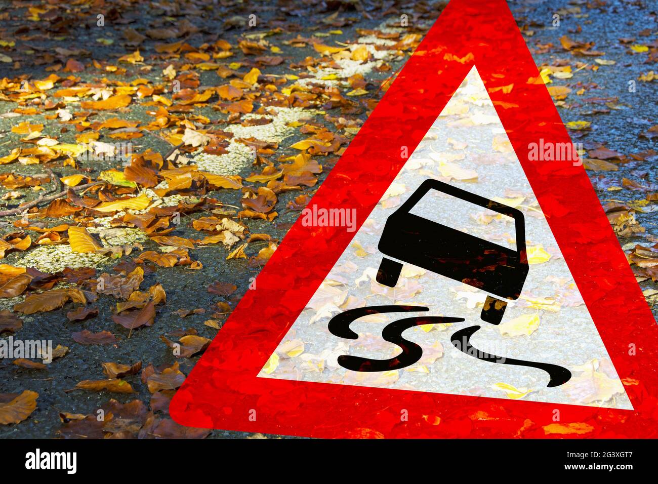 Caution. Danger of slipping due to wet leaves on the roadway Stock