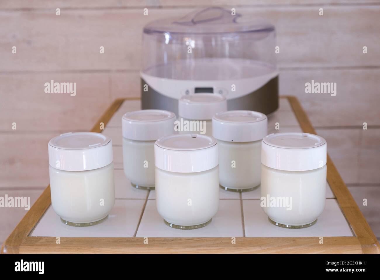 Yogurt maker dubai deals