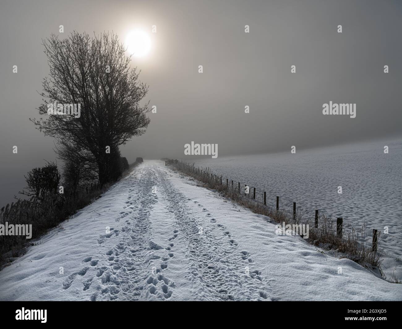 Sun peaking through mist on a snow covered footpath (on disused railway) in the Scottish Borders Stock Photo