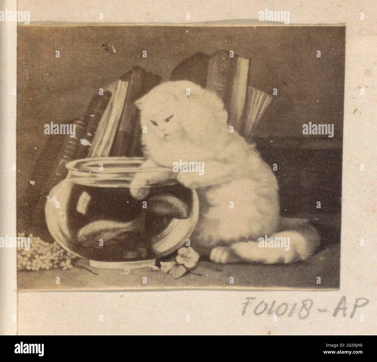 Photo production of (presumably) a painting with a cat at a fish bowl ...