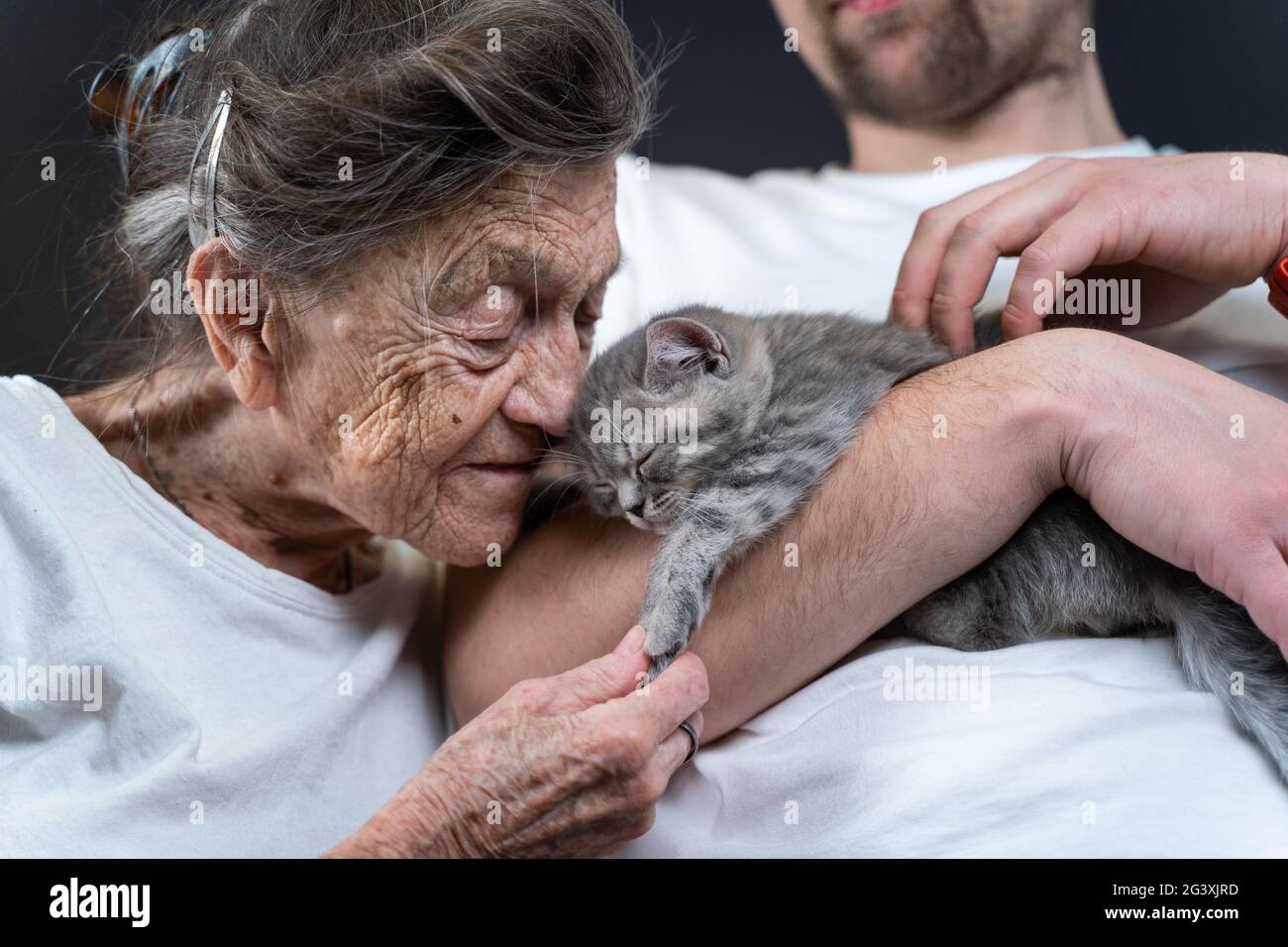 Happy senior woman cuddling and kiss, snuggle up to face small cute gray kitten, which held in arms by his grandson during visit Stock Photo