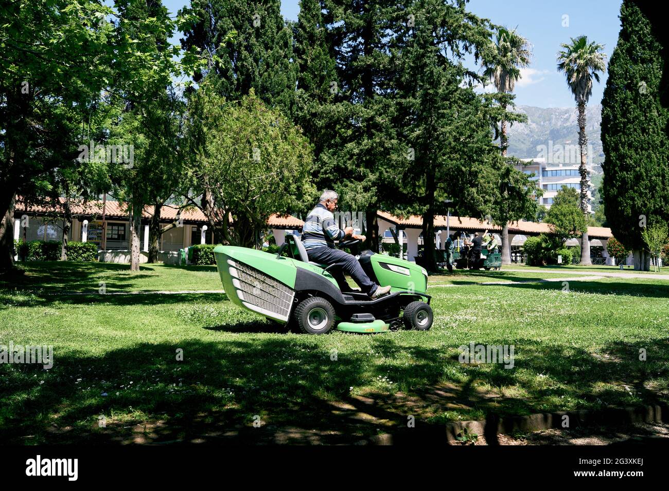Man rides a green large lawn mower in the park among the trees Stock Photo