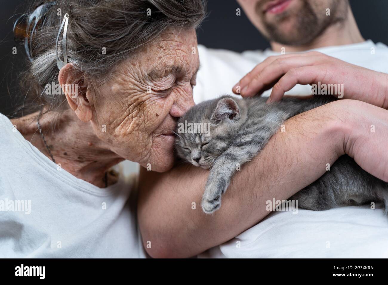 Happy senior woman cuddling and kiss, snuggle up to face small cute gray kitten, which held in arms by his grandson during visit Stock Photo