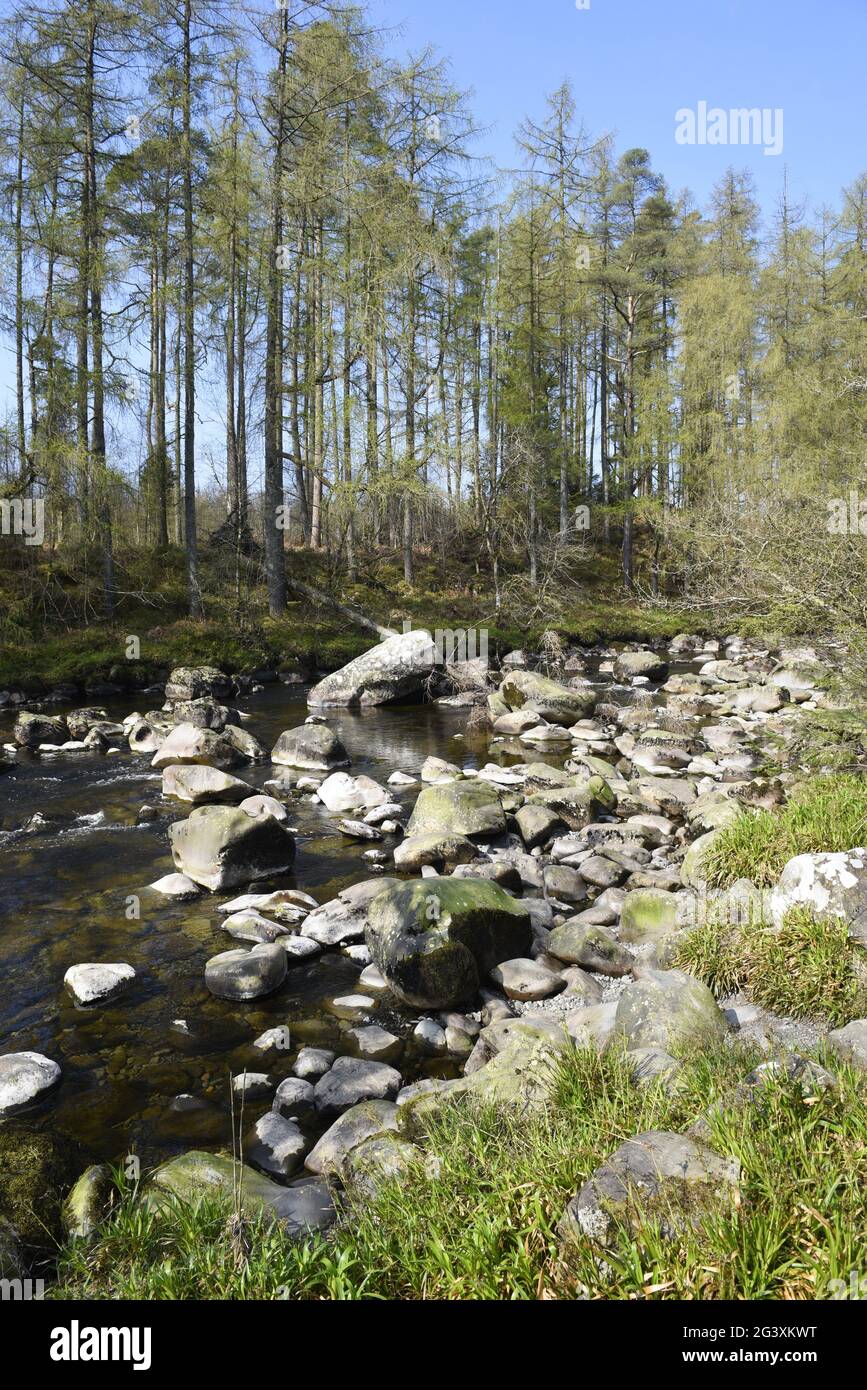 Water of Minnoch, at Glentrool Visitor Centre, in Glentrool Forest Park, Glentrool, Newton Stewart DG8 6SZ. A river of SW Scotland, the Water of Minno Stock Photo