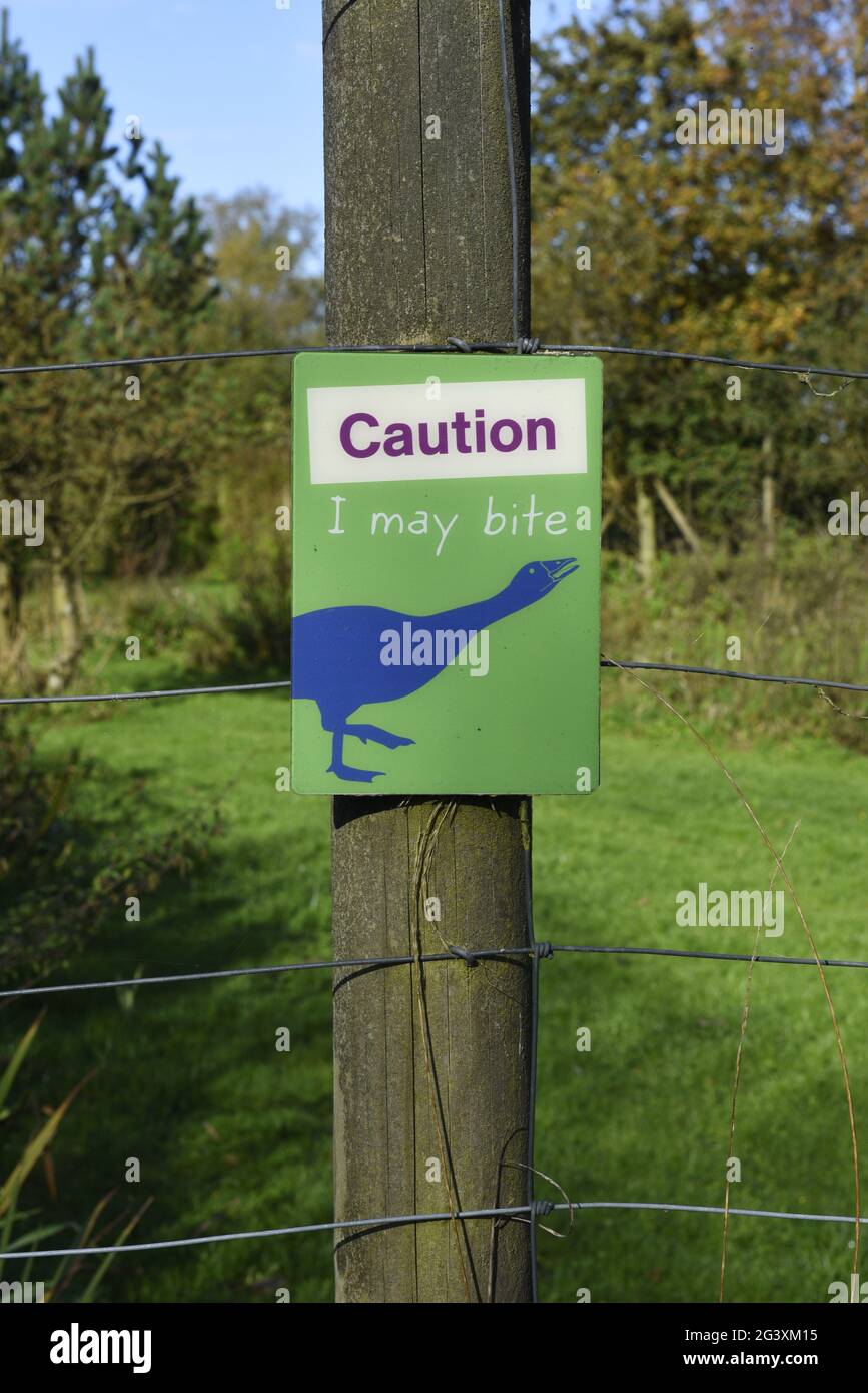Caution I May Bite sign at a wildlife centre with the picture of a goose underneath. Green sign on a wooden post, with lush green vegetation Stock Photo