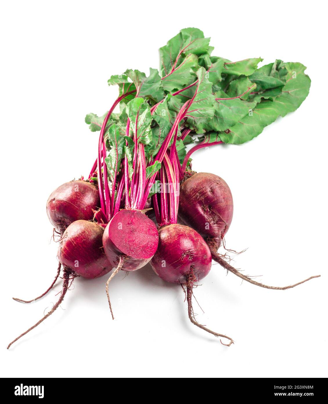 Beet, beetroot bunch on dark background, copy space Stock Photo