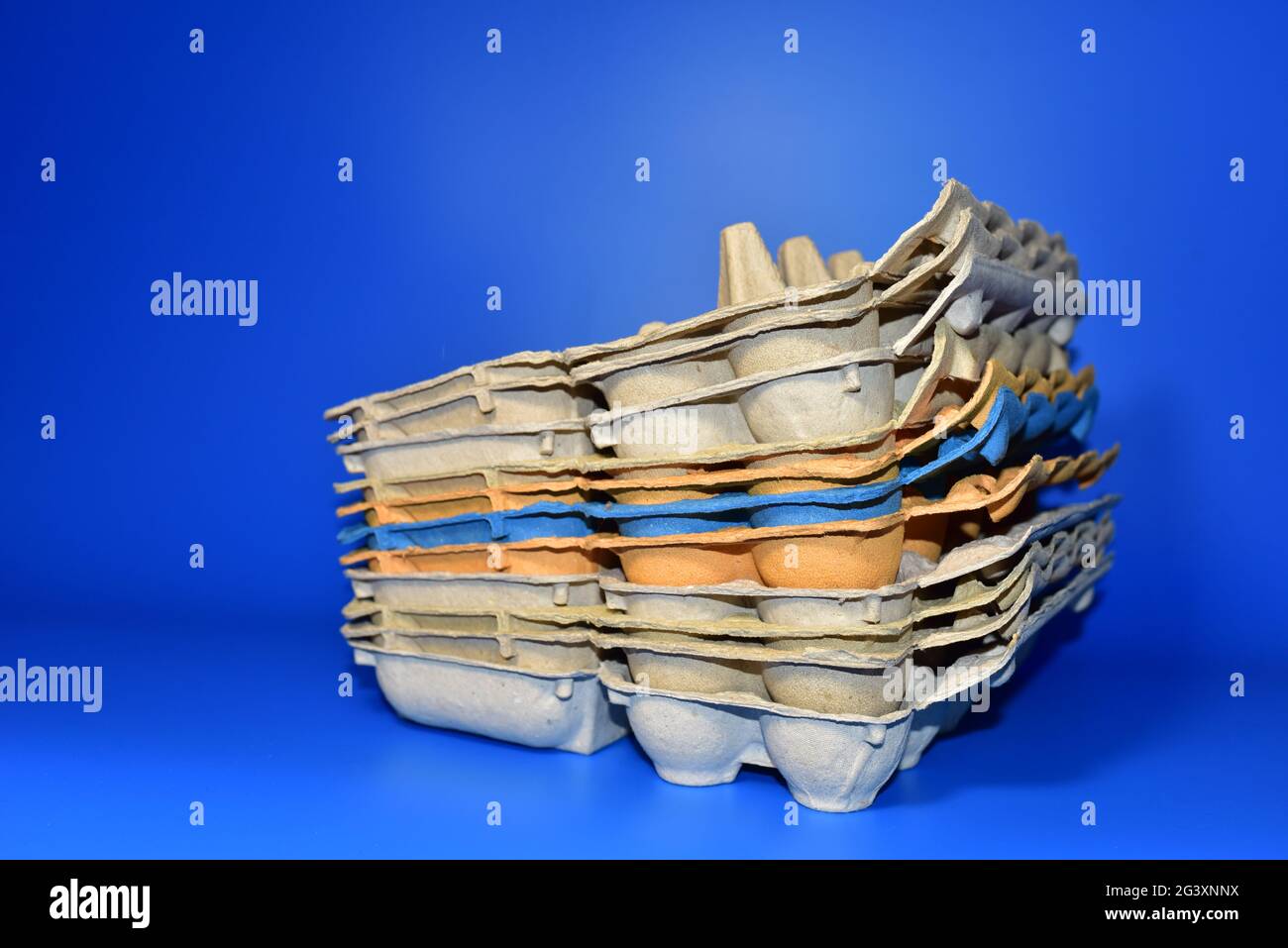 Empty carton boxes for chicken eggs. Egg box Stock Photo