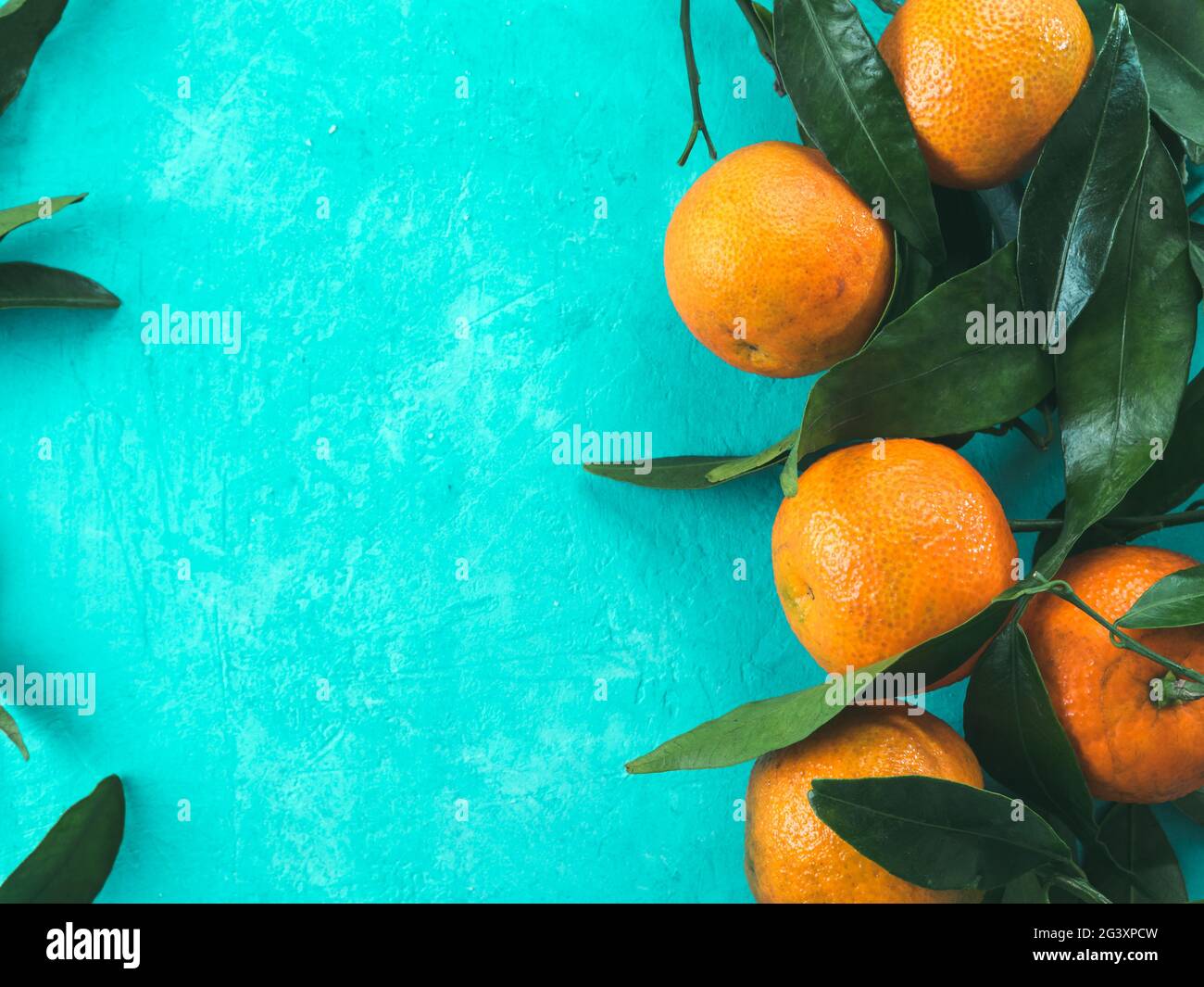 Tangerines, oranges, mandarins on blue background Stock Photo