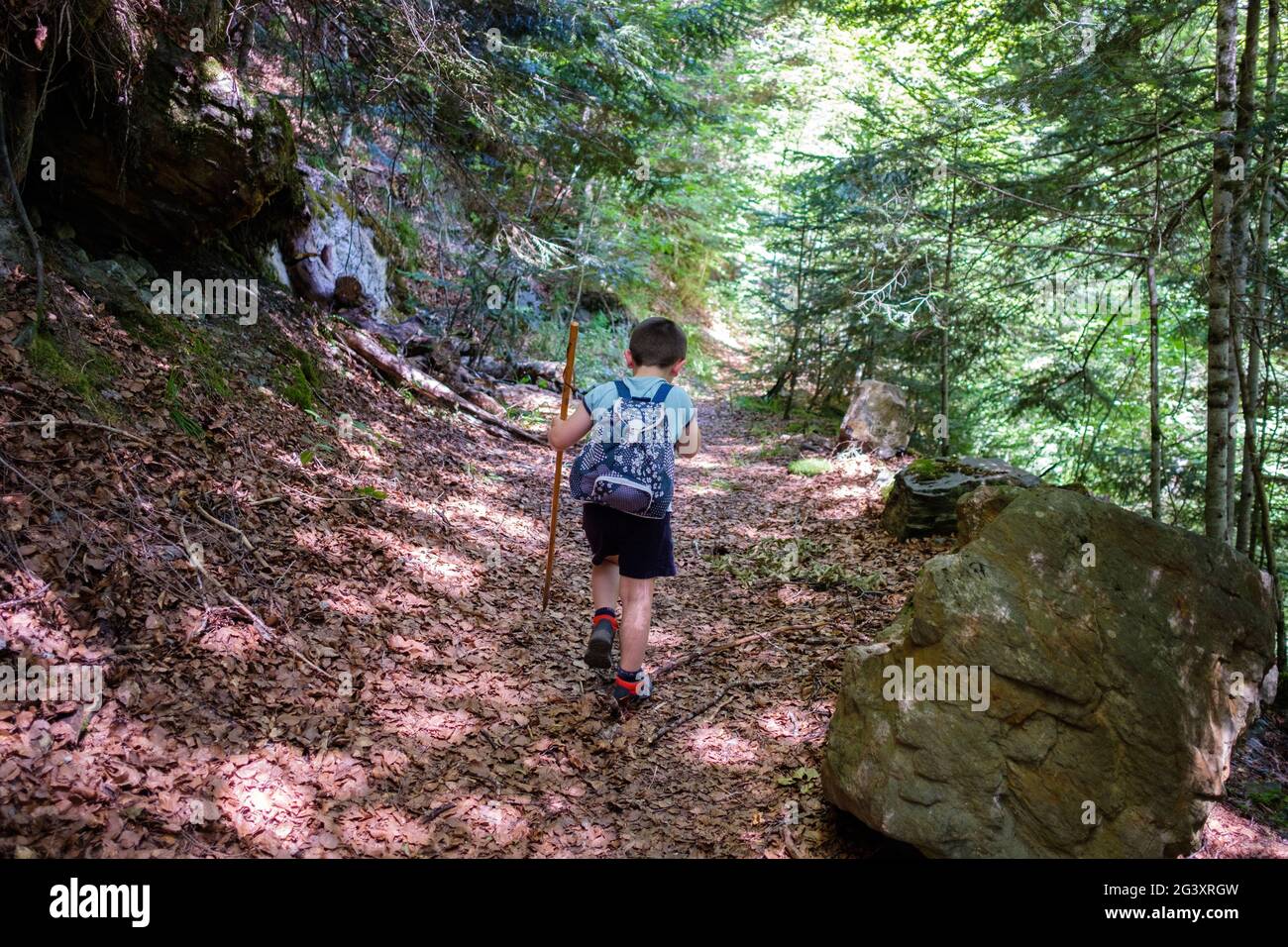 Child walking on a mountain path, hike in Aure Valley near Tramezaigues, in the Hautes Pyrenees department (Upper Pyrenees, south western France) Stock Photo