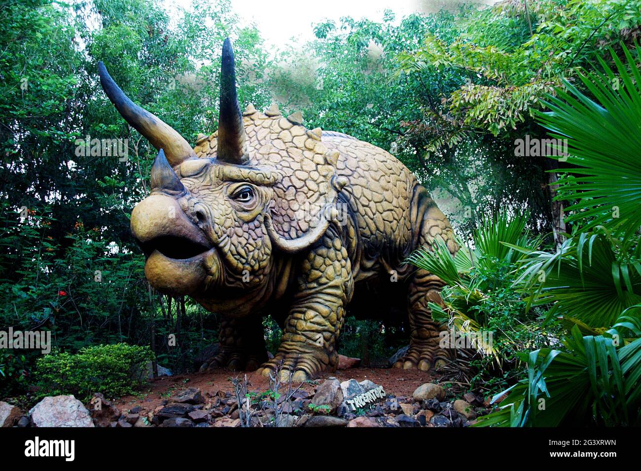 Terrifying Triceratops Dinosaur Stock Photo