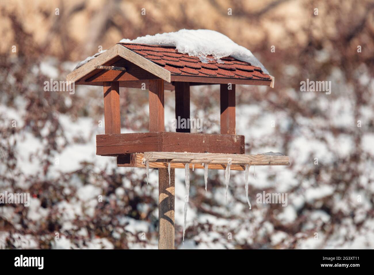 Birdhouse in winter garden Stock Photo Alamy