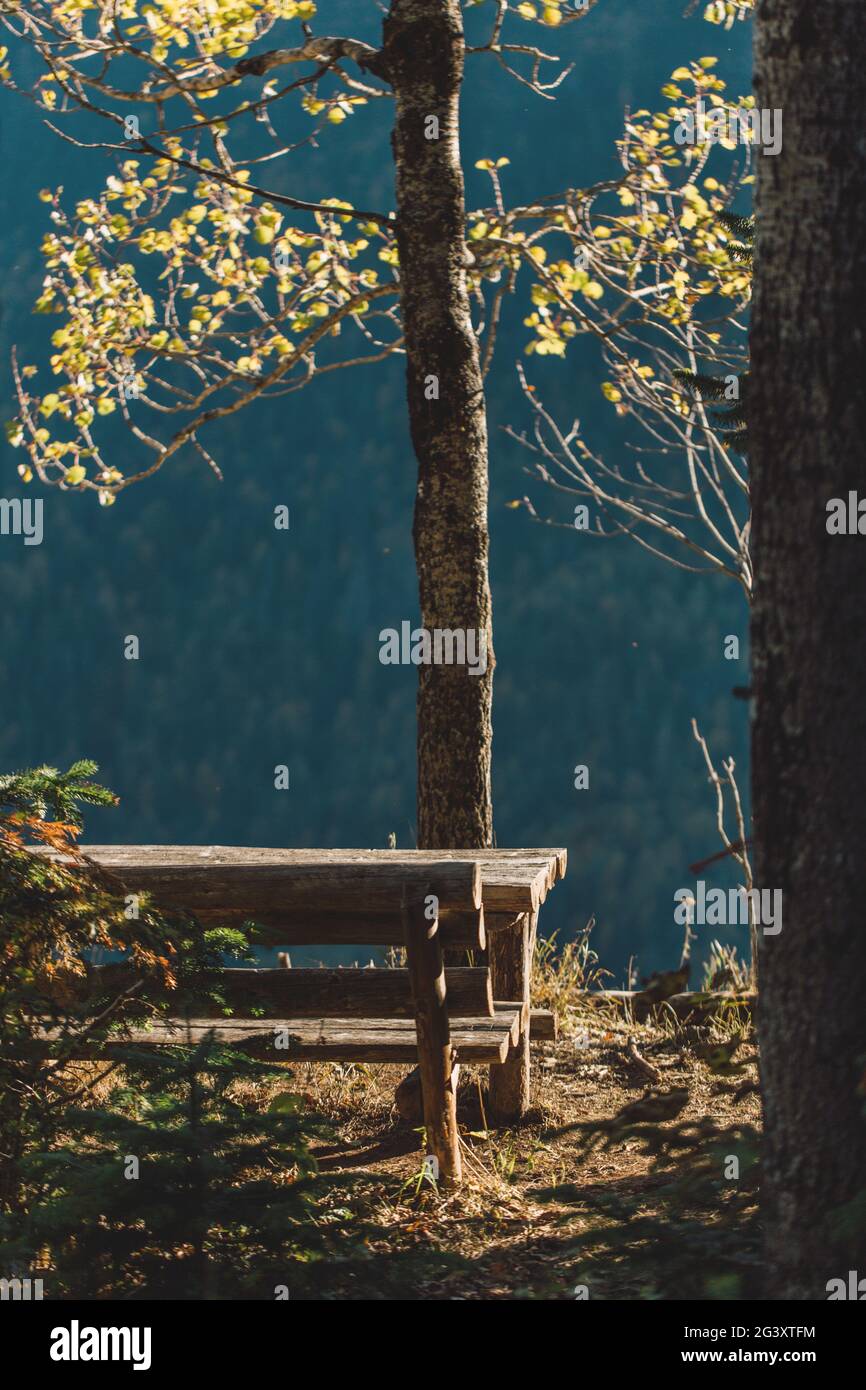 Golden, yellow maples, oaks and birches in the mountains. Warm autumn ...