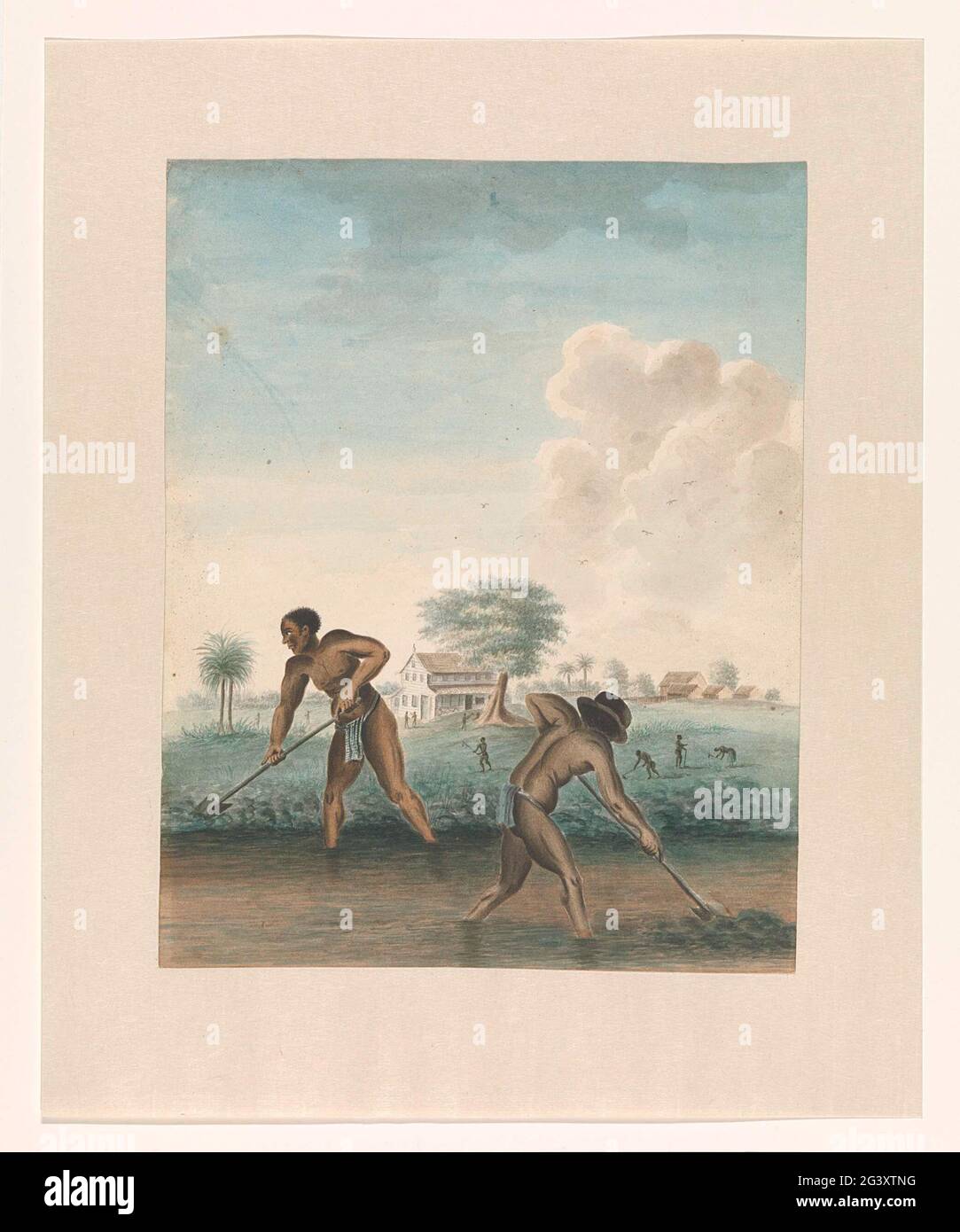 Slaves work on land. Two men-made men dig a trens (drainage channel) on a Surinamese plantation, in a planter house and a field where even more slaves work. Stock Photo