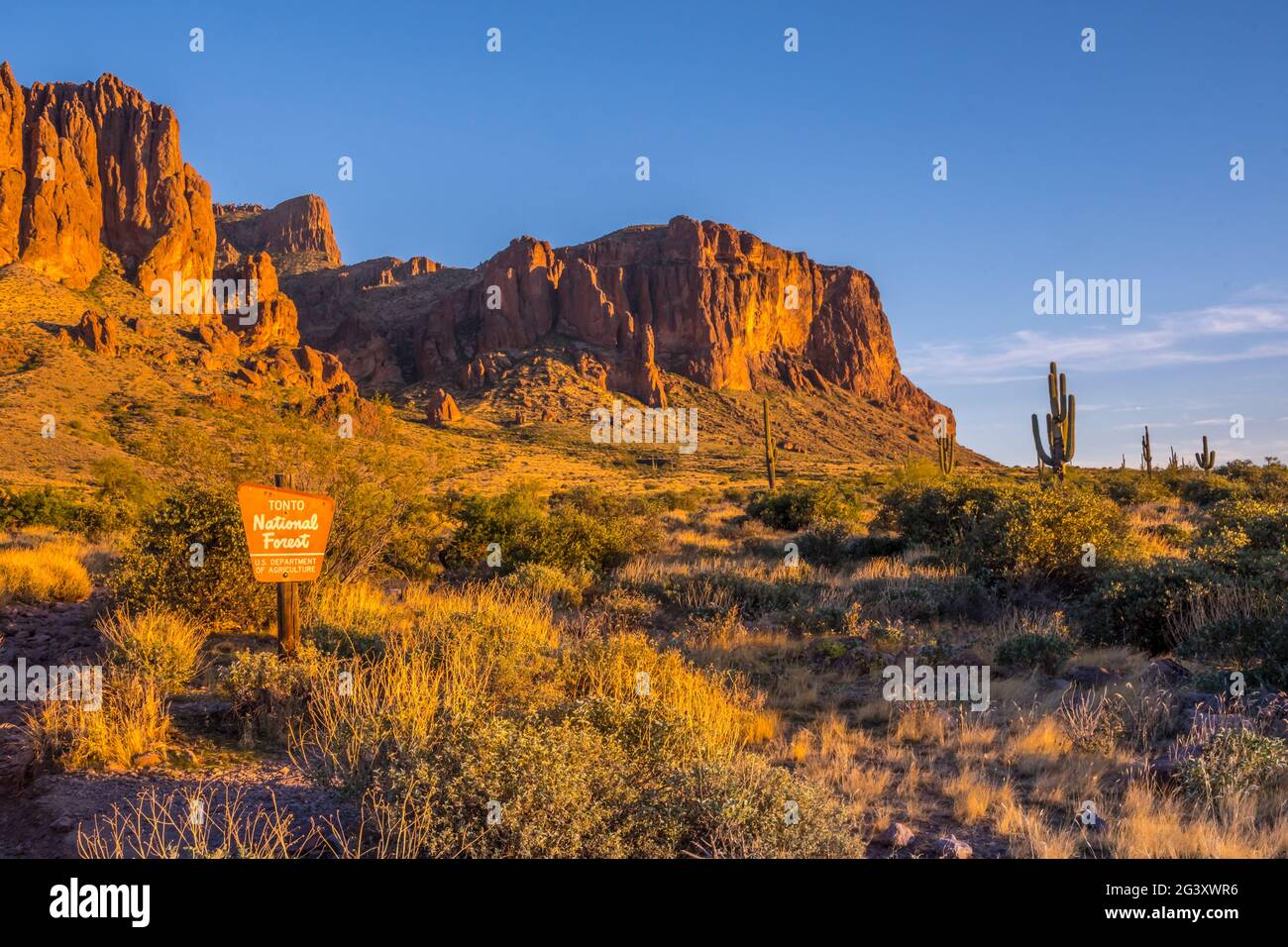 Road in tonto national forest hires stock photography and images Alamy