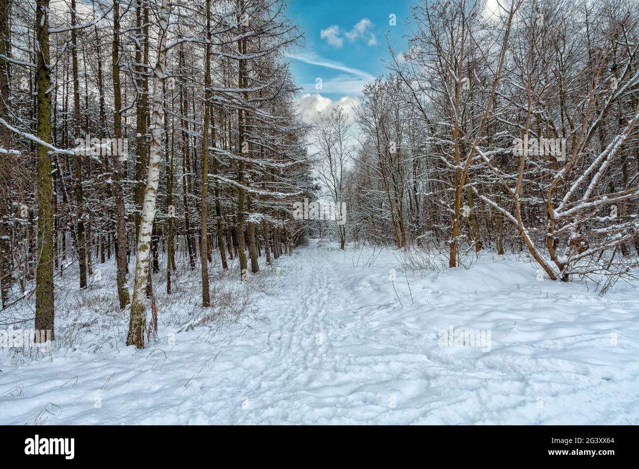 Beautiful snowy scene hi-res stock photography and images - Alamy