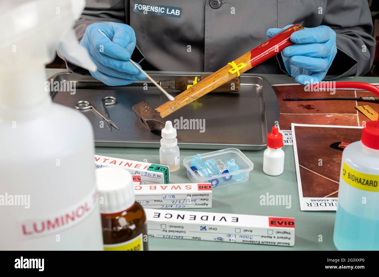 Police scientist extracts DNA sample from a pair of hammer in a crime lab, concept image Stock Photo