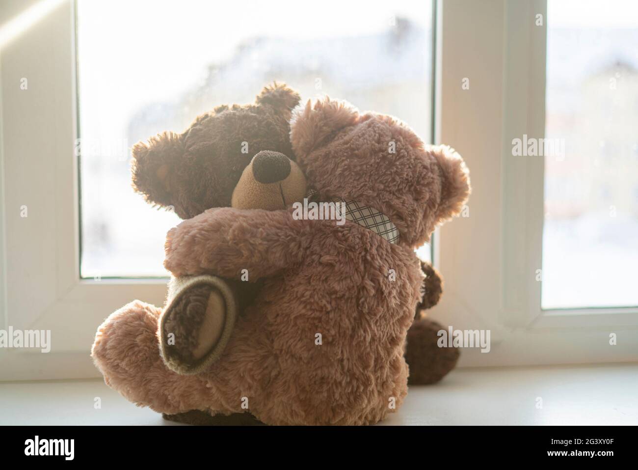 couple of two teddy bears hug each other, love feelings concept ...