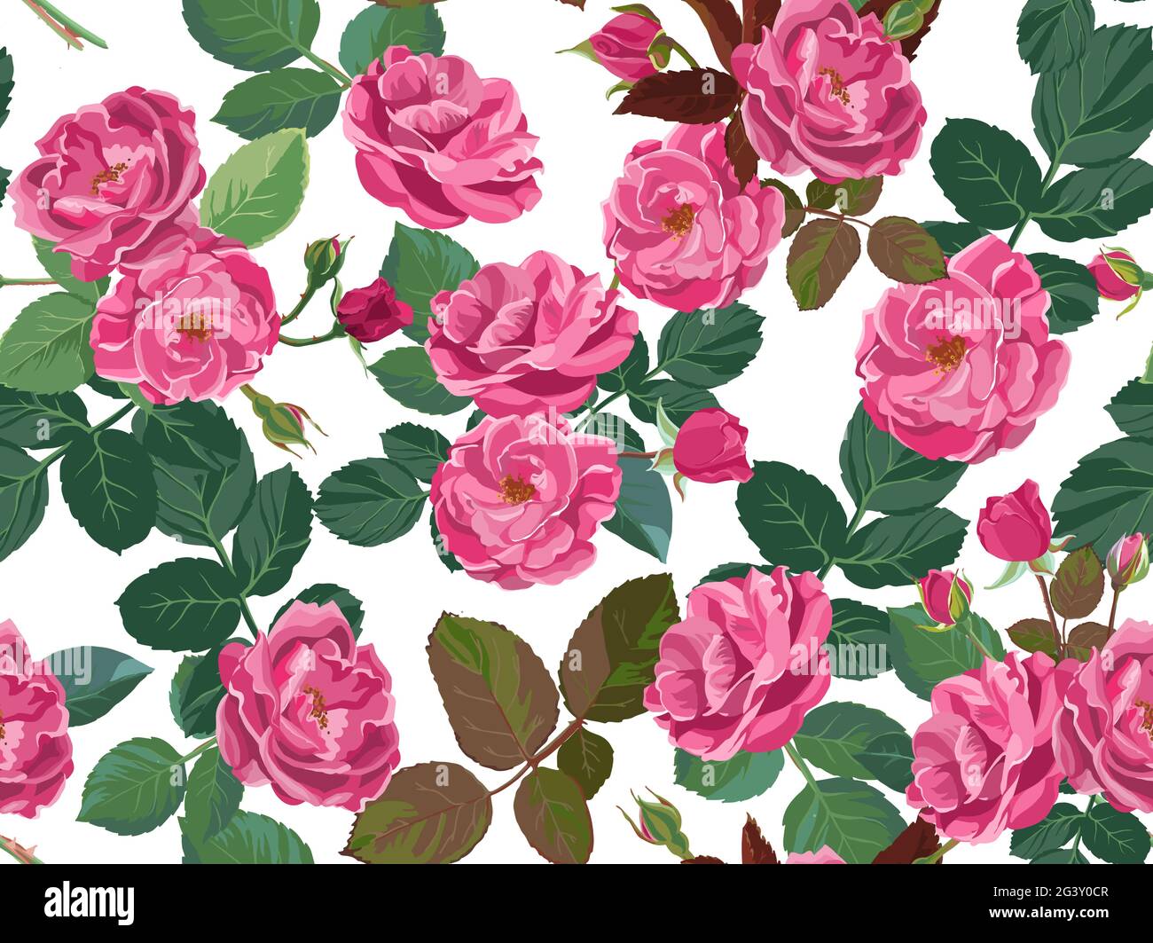 Floral pattern with peonies or roses and foliage Stock Vector