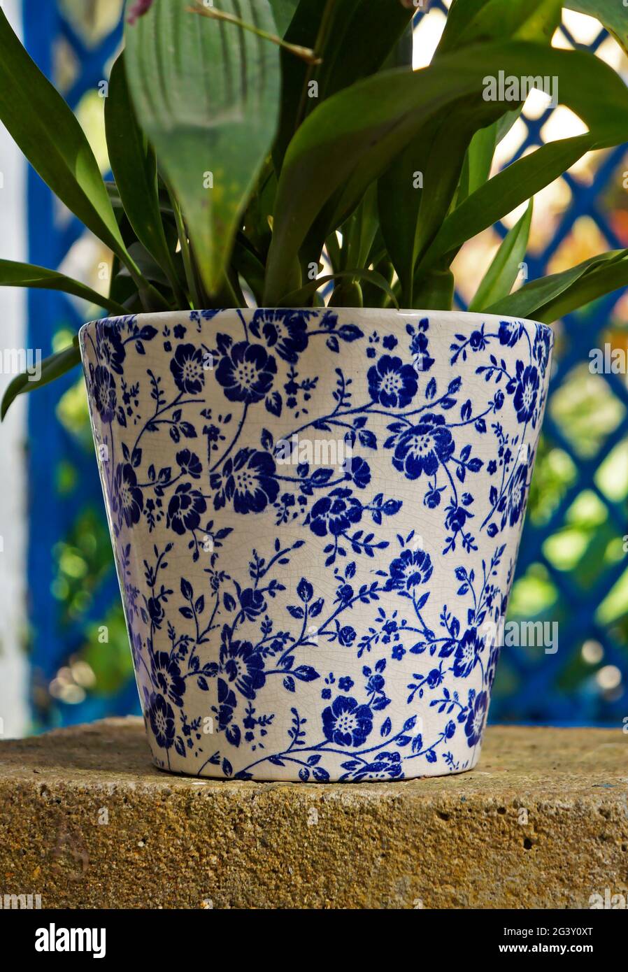 Decorated flower pot in the greenhouse Stock Photo