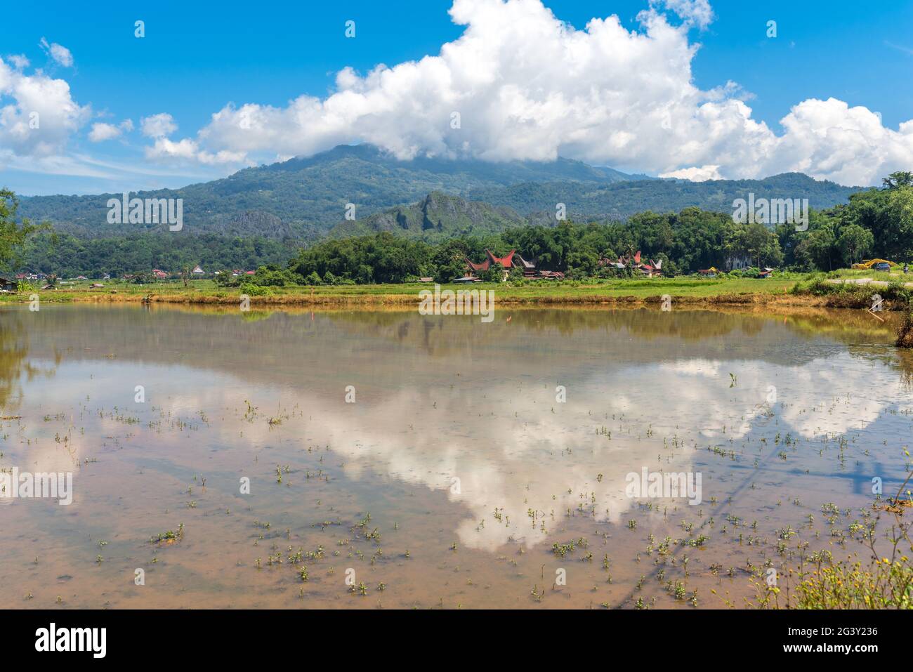 View direction Mount Sesean, an area with ancient graves and Tongkonan, ancestral house villages Stock Photo