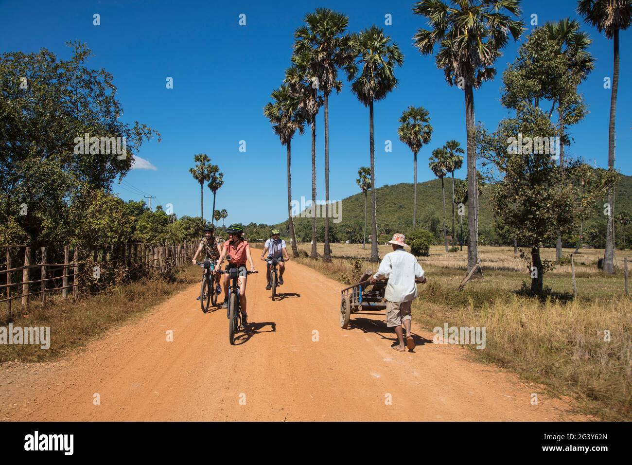 Bicycle excursion through rice fields for guests of the river cruise ship, near Andong Russei, Kampong Chhnang, Cambodia, Asia Stock Photo