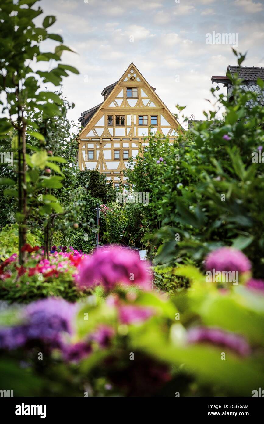Flower garden in the Fischerviertel, Ulm, Danube, Swabian Alb, Baden-Württemberg, Germany Stock Photo