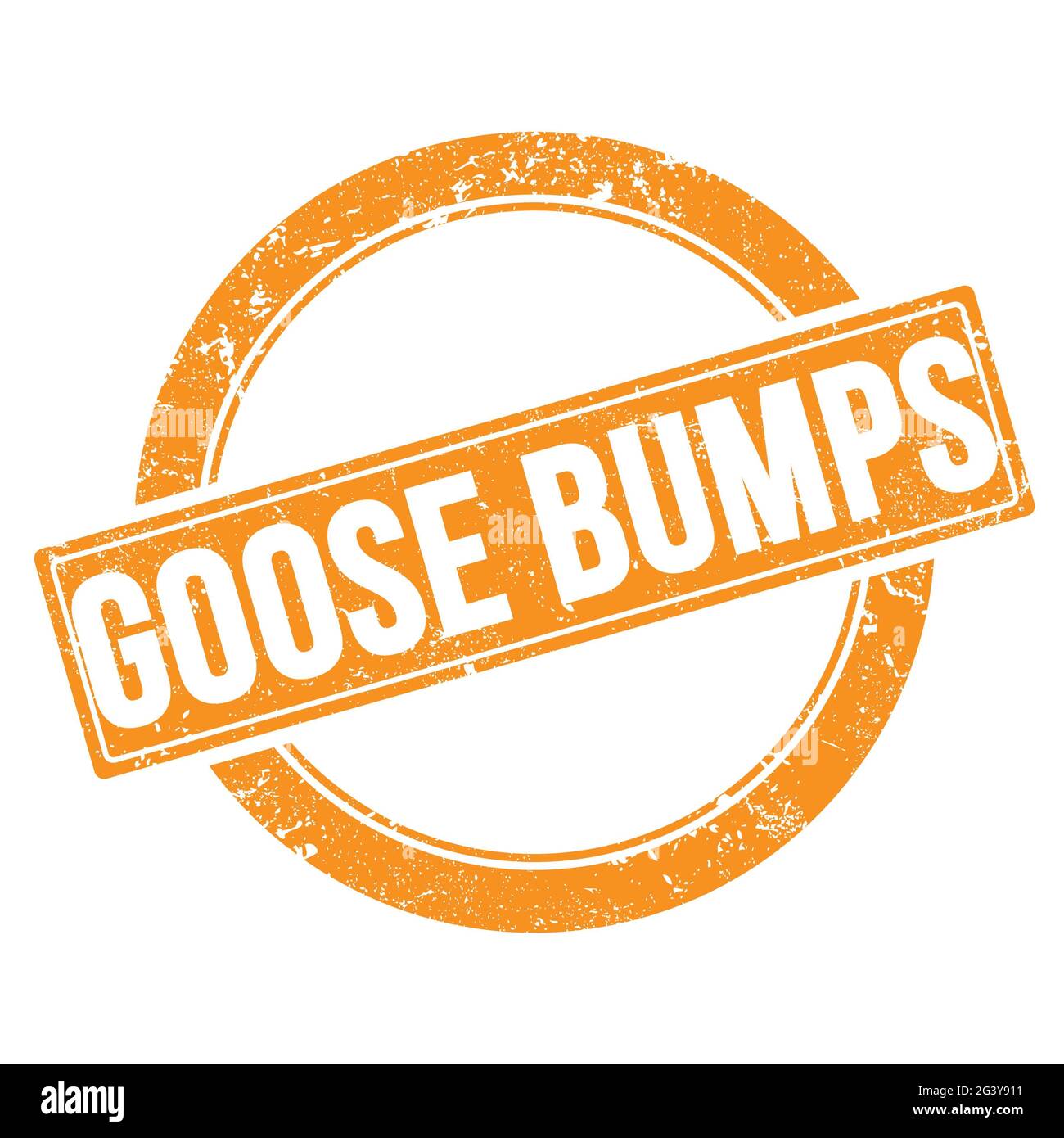 GOOSE BUMPS text on orange grungy round vintage stamp. Stock Photo