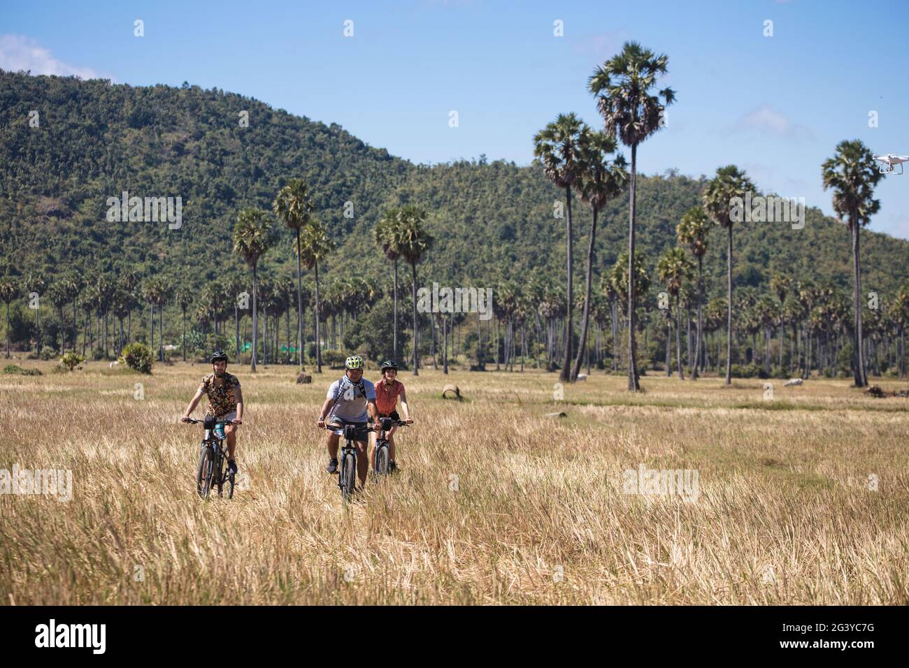 Bicycle excursion through rice fields for guests of the river cruise ship, near Andong Russei, Kampong Chhnang, Cambodia, Asia Stock Photo