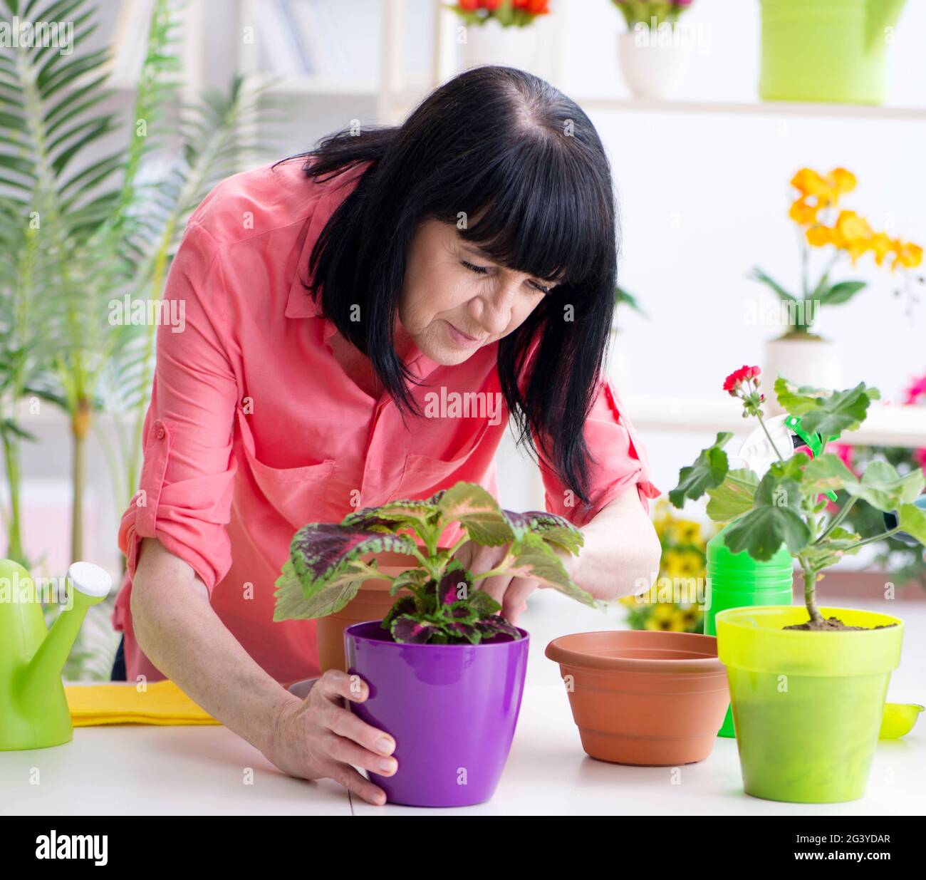 The woman florist working in the flower shop Stock Photo