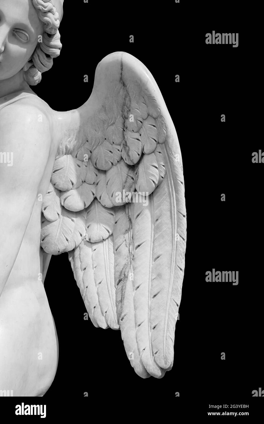 Angel wings isolated on black background with copyspace. Statue of cherub wing close-up Stock Photo