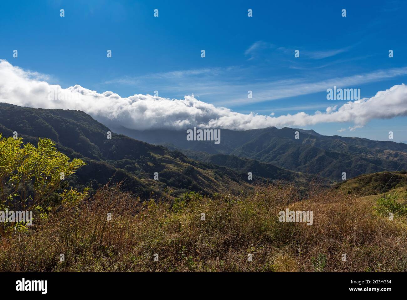 Landscape Monteverde Cloud Forest Reserve, Costa Rica Stock Photo