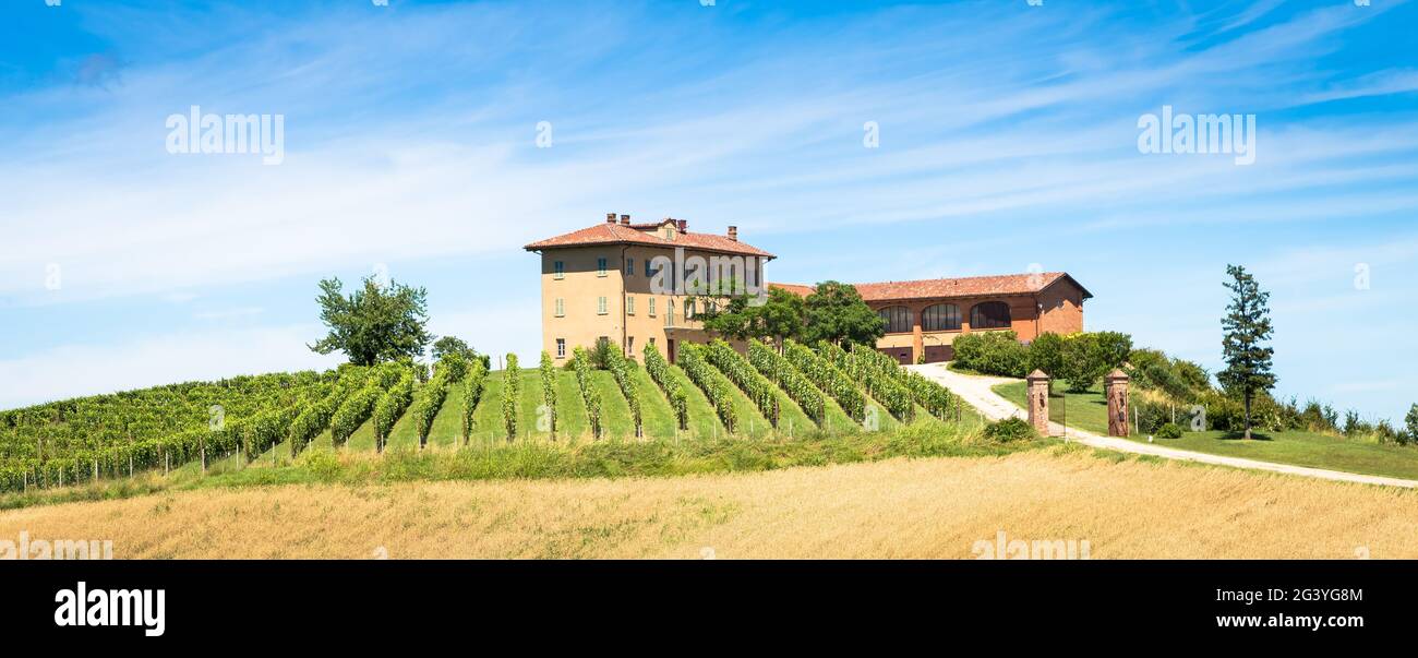 Piedmont hills in Italy with scenic countryside, vineyard field and blue sky Stock Photo