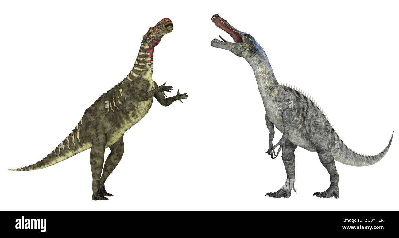 Altirhinus and Suchomimus isolated on white background Stock Photo - Alamy