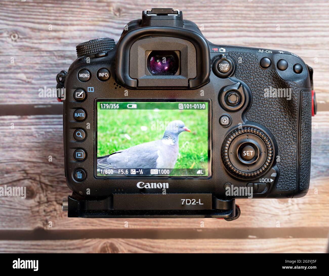 rear view of a canon dslr with image on the lcd screen Stock Photo - Alamy