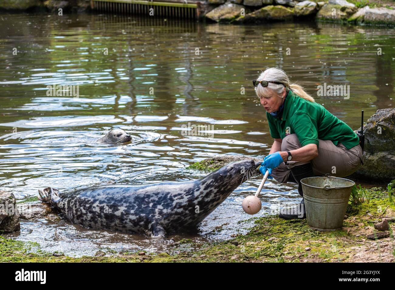 Cobh, County Cork, Ireland. 18th June, 2021. The sunny weather brought
