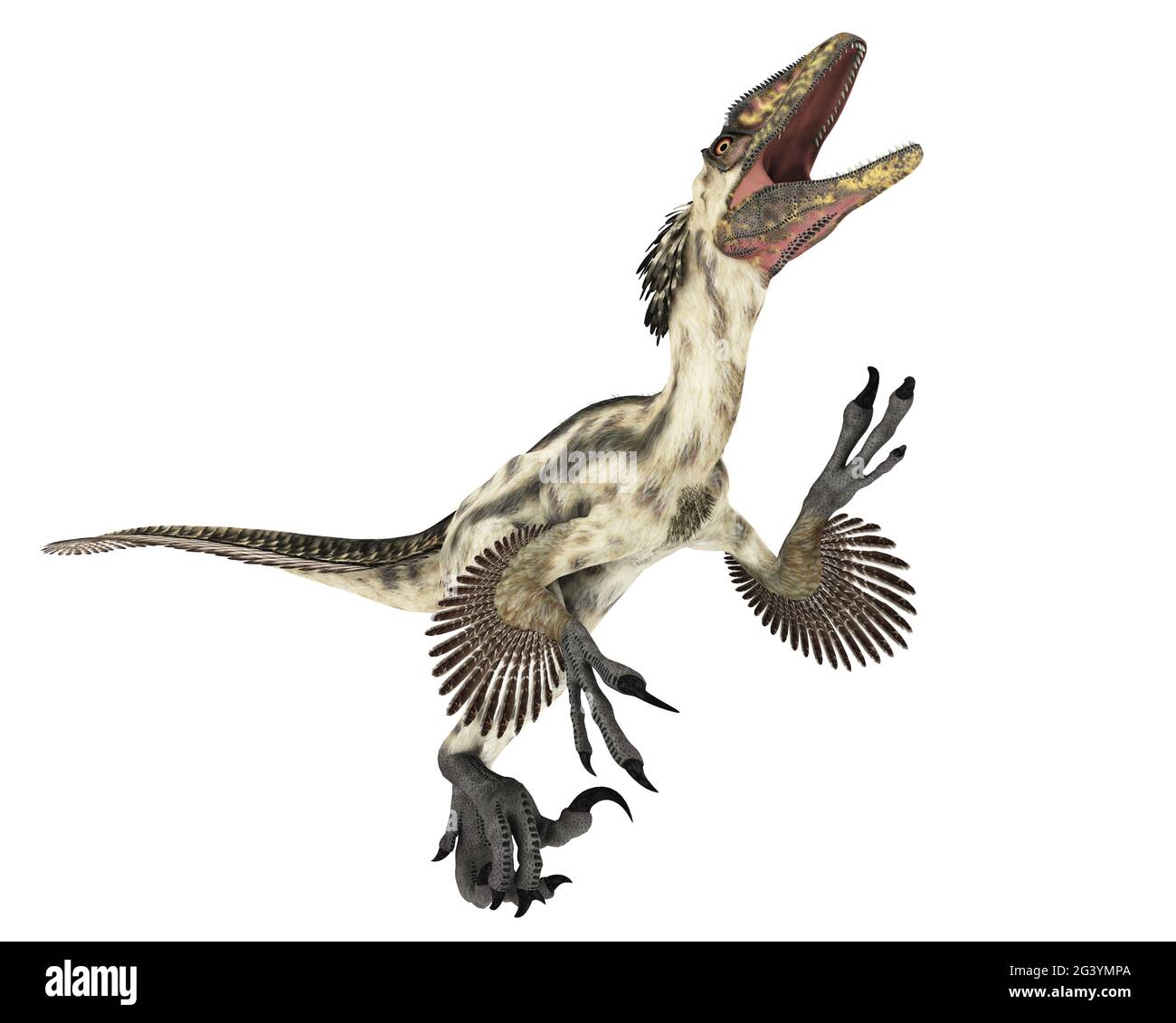 Deinonychus dinosaur, illustration Stock Photo - Alamy