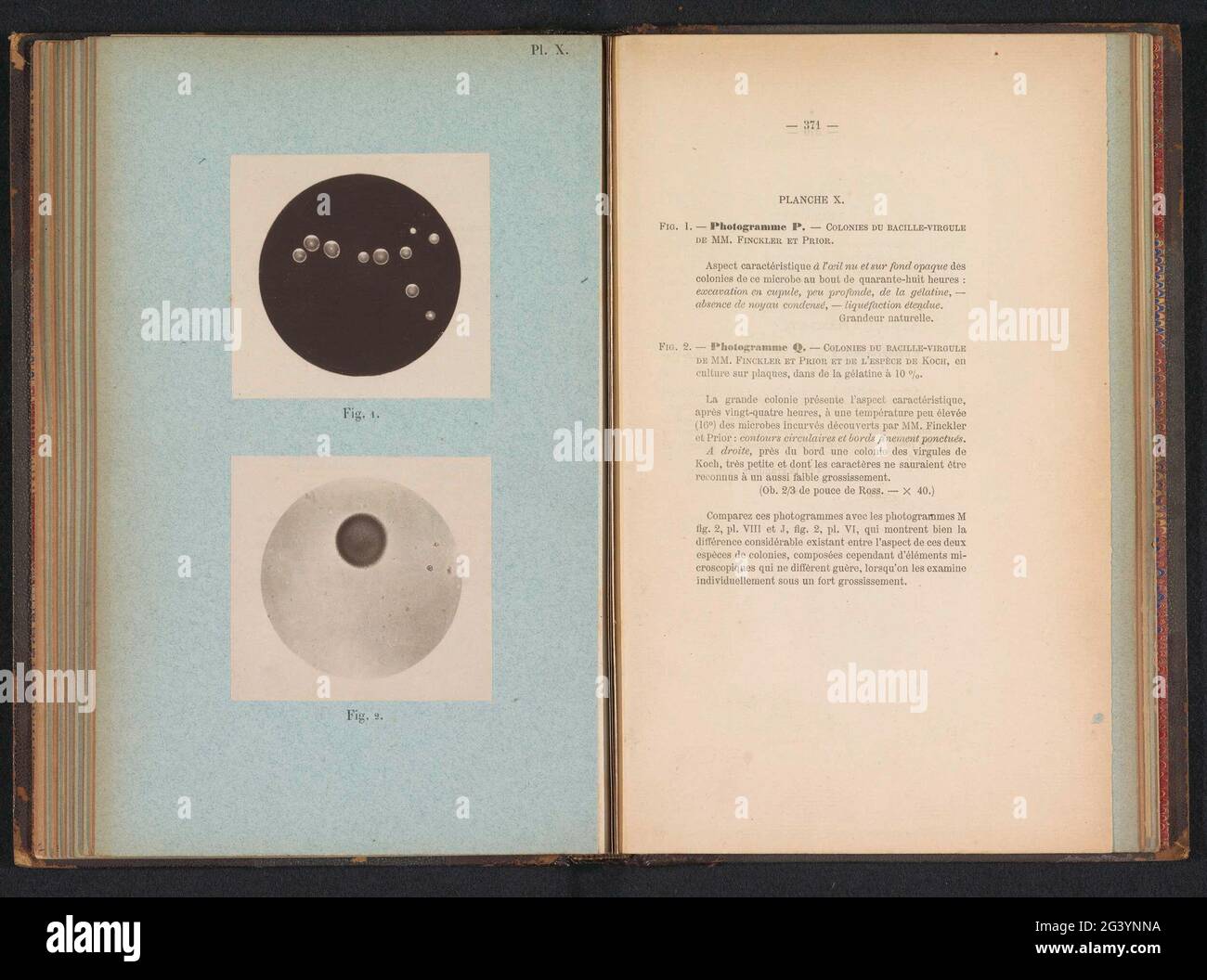 Two microscope shots hi-res stock photography and images - Alamy