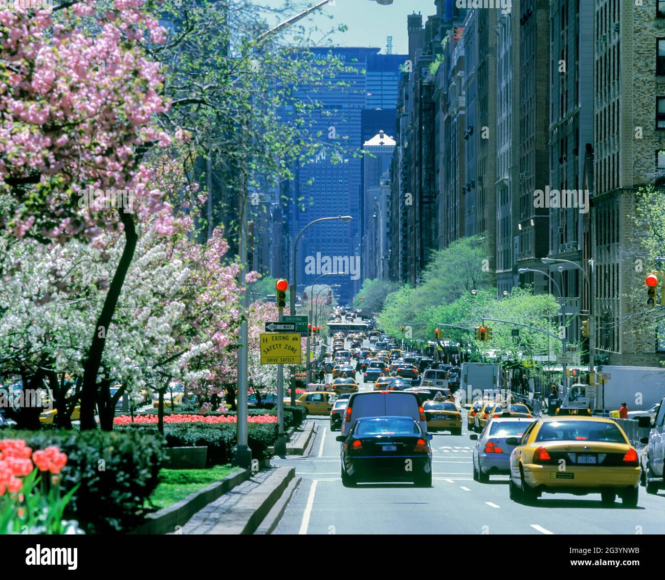 その他 STREET 06 2006 No.178 2006 HISTORICAL YELLOW TAXI CABS TIMES SQUARE MANHATTAN NEW YORK