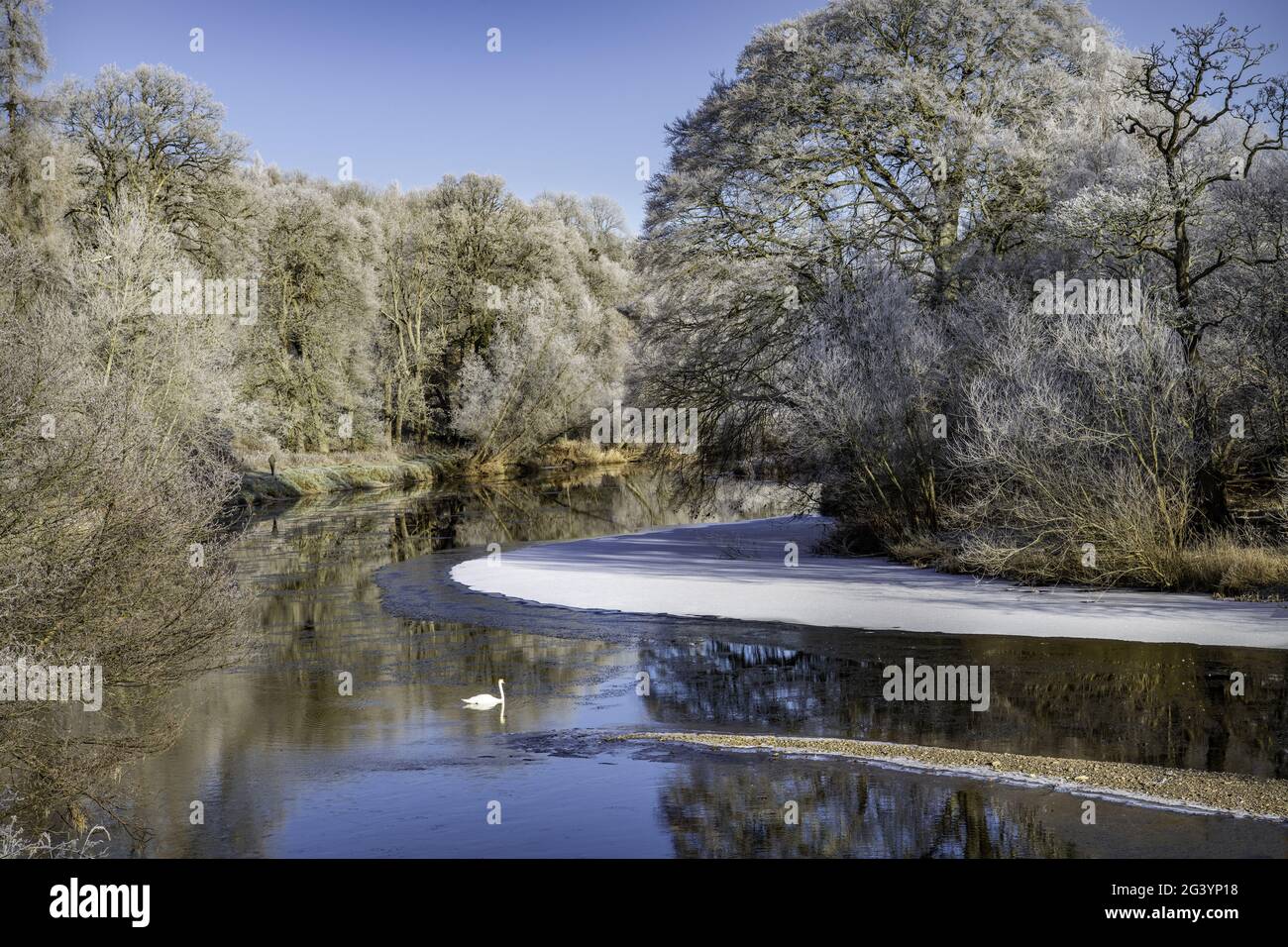 Teviot River on a Frosty Morning Stock Photo