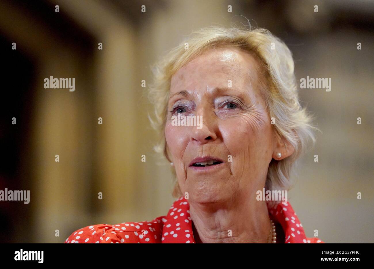 Virginia Lewis-Jones at the launch of an appeal to raise funds for a