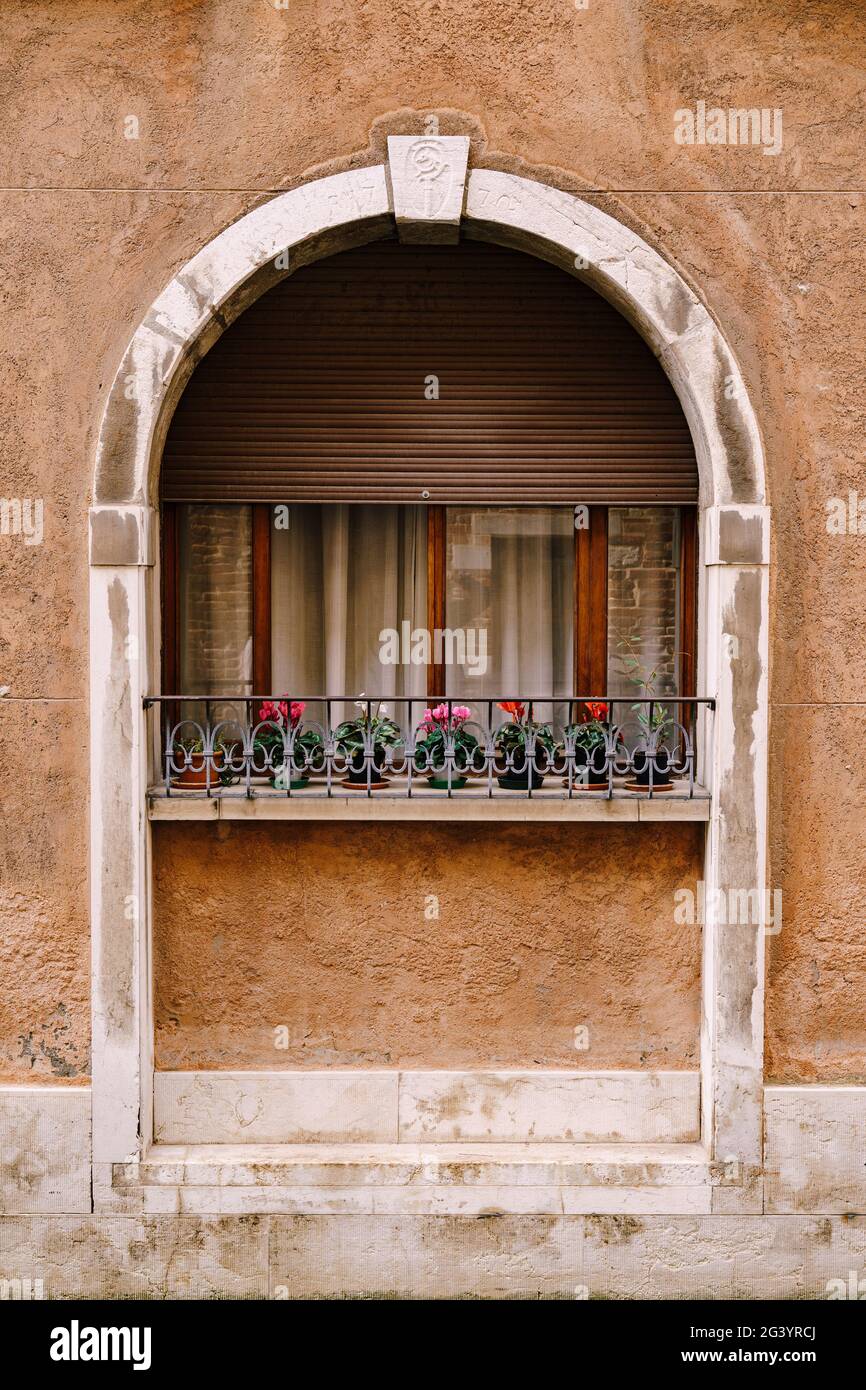 Close-ups of building facades in Venice, Italy. A stone arch above a wooden window on the facade of building. White curtains in Stock Photo