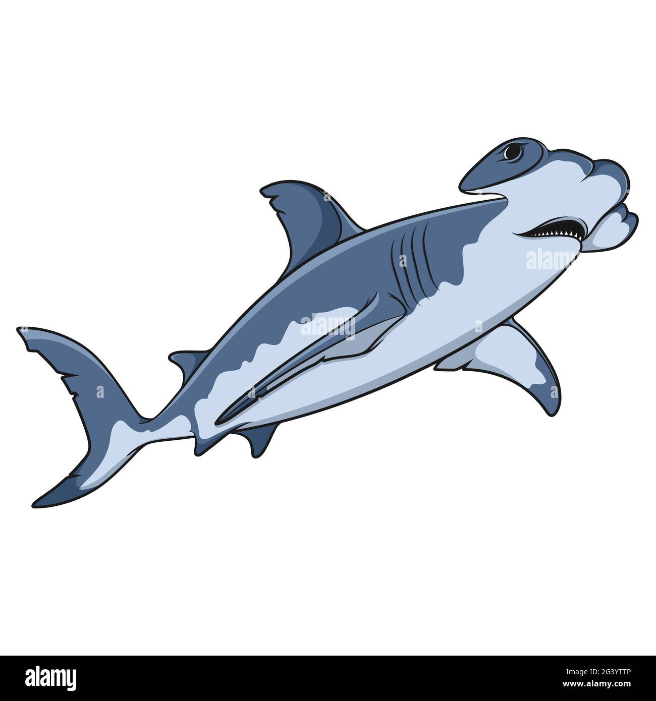 Vector color illustration of the hammerhead shark. Isolated object on a white background. Stock Vector