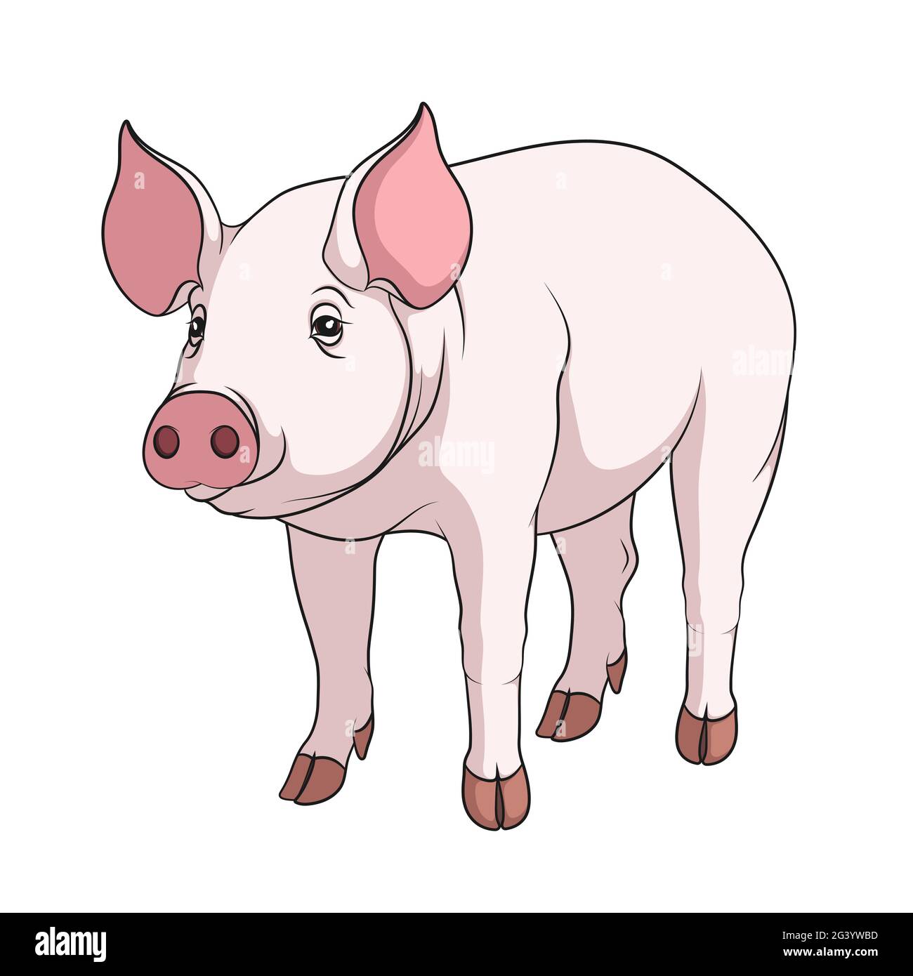 Vector color illustration of a pig. Isolated object on a white background. Stock Vector