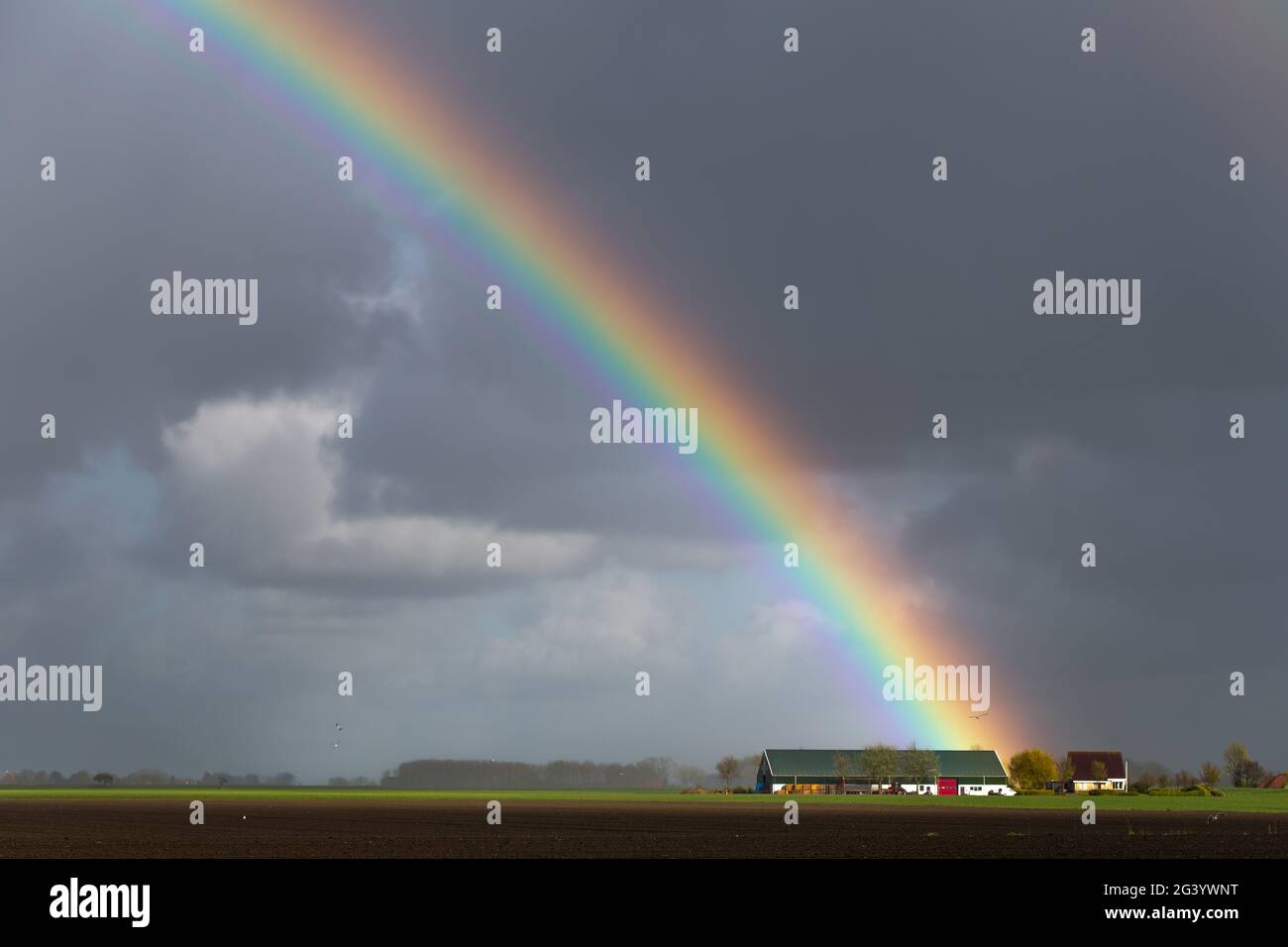 A rainbow and gray rain clouds over a field in the Netherlands Stock Photo